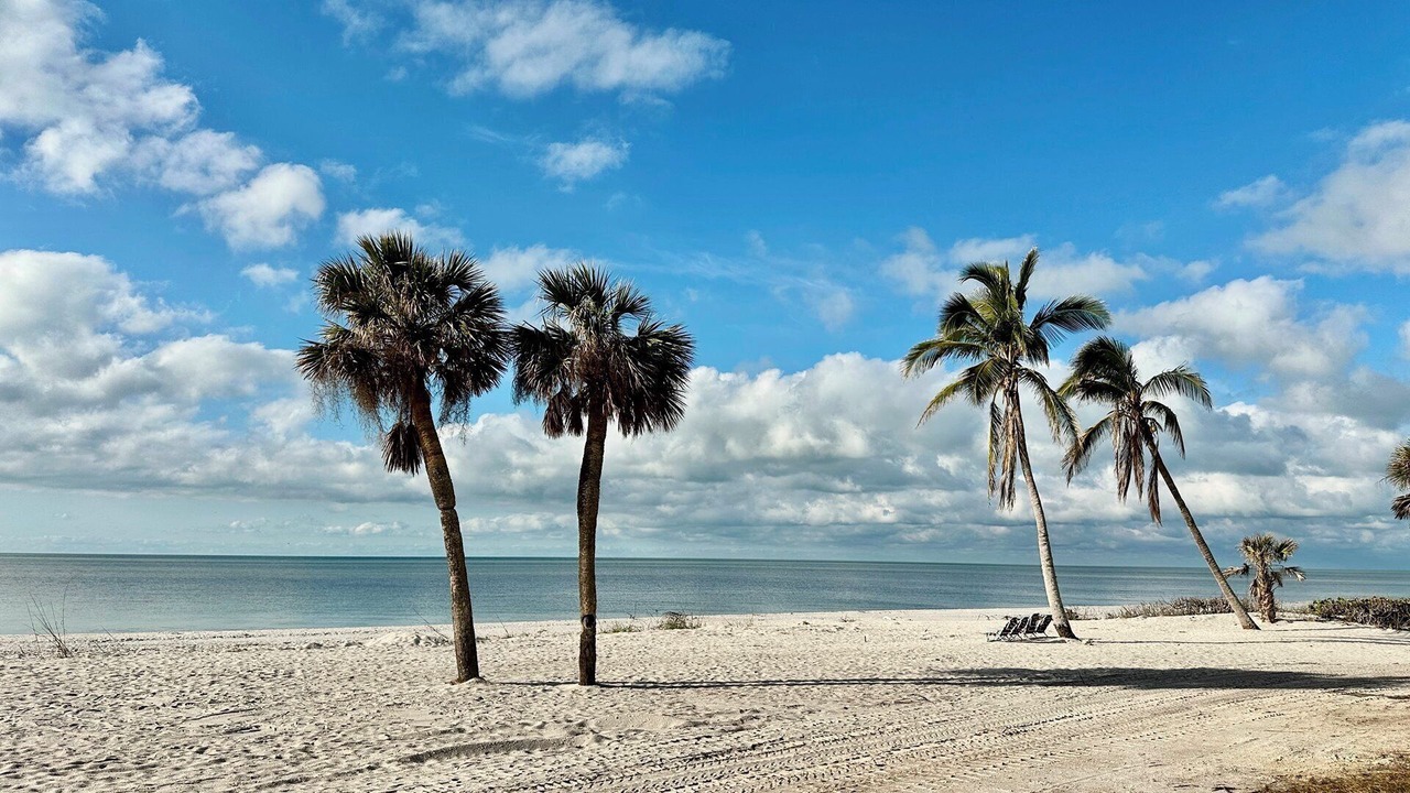 Photo of Others in Sanibel