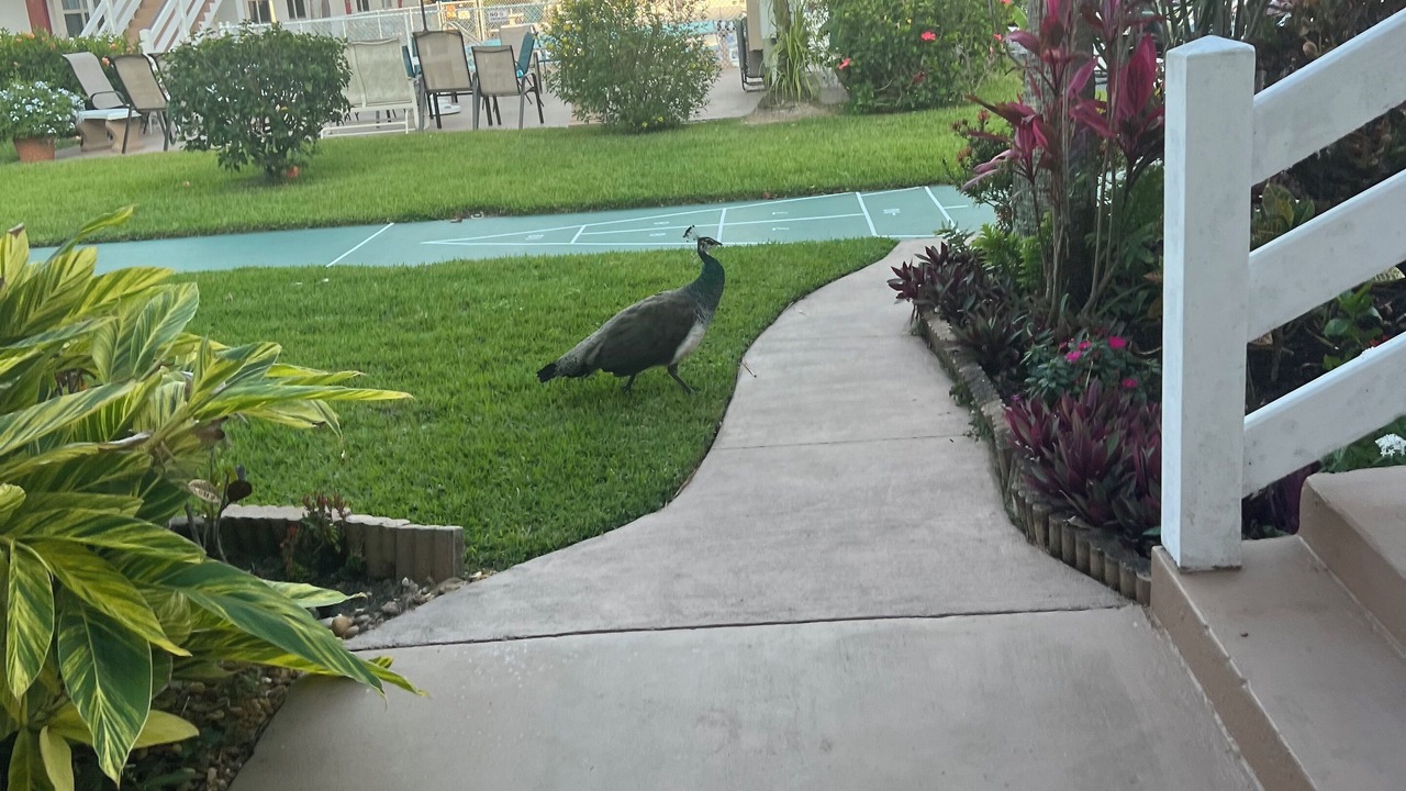 Photo of Outdoor in Port Canaveral