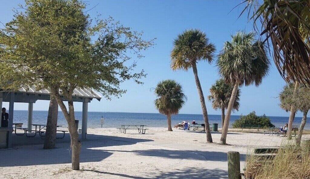 Photo of Others in New Port Richey