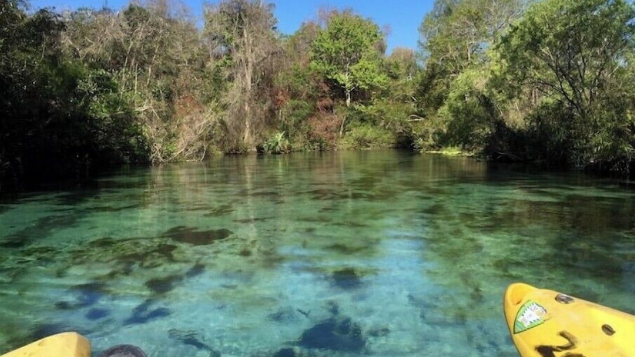 Photo of Others in New Port Richey