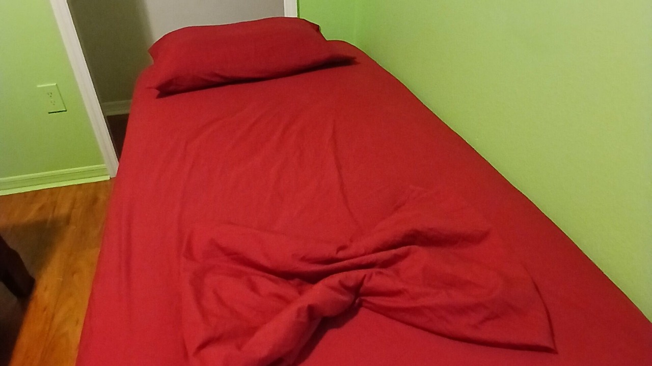 Photo of Bedroom in New Port Richey