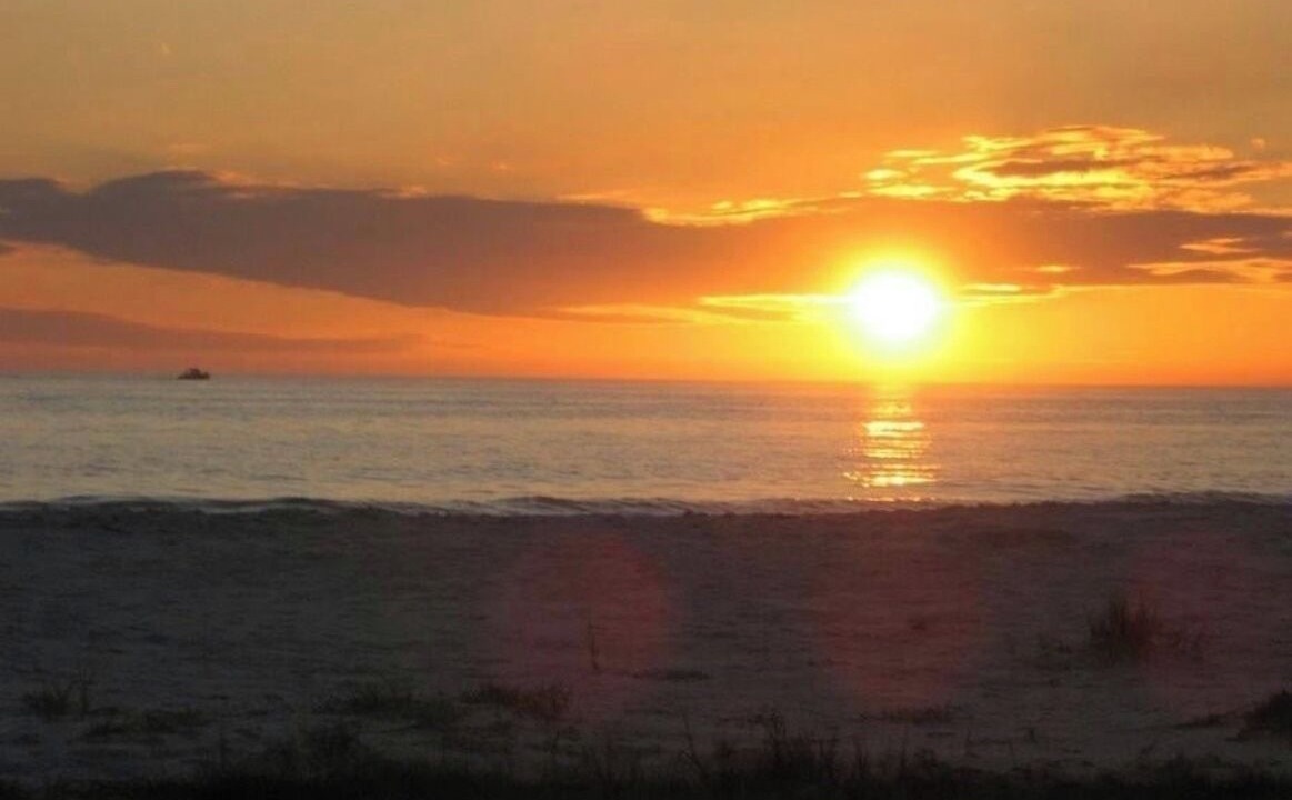 Photo of Others in Port Charlotte