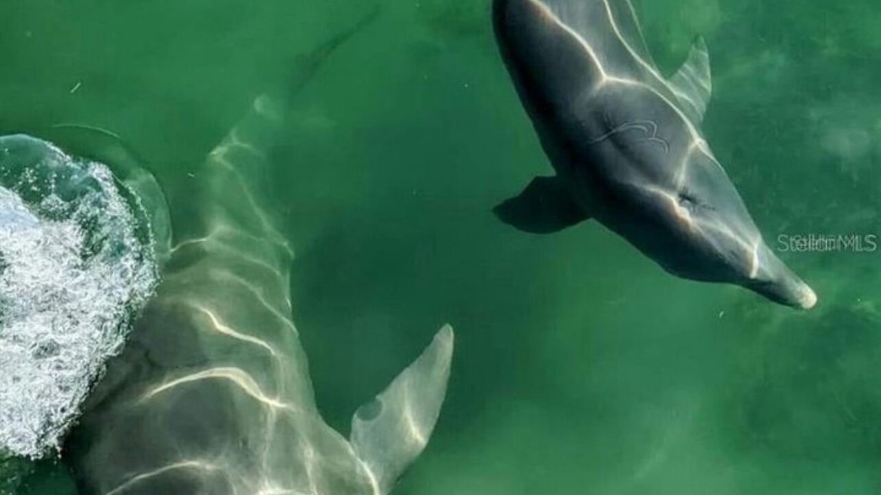 Photo of Others in Port Charlotte