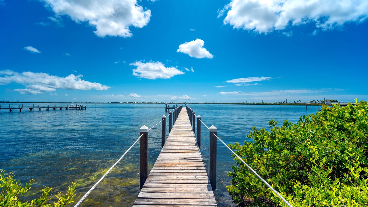 Photo of Others in Little Torch Key