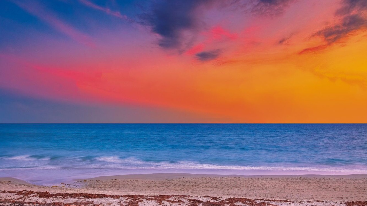 Photo of Others in Tequesta