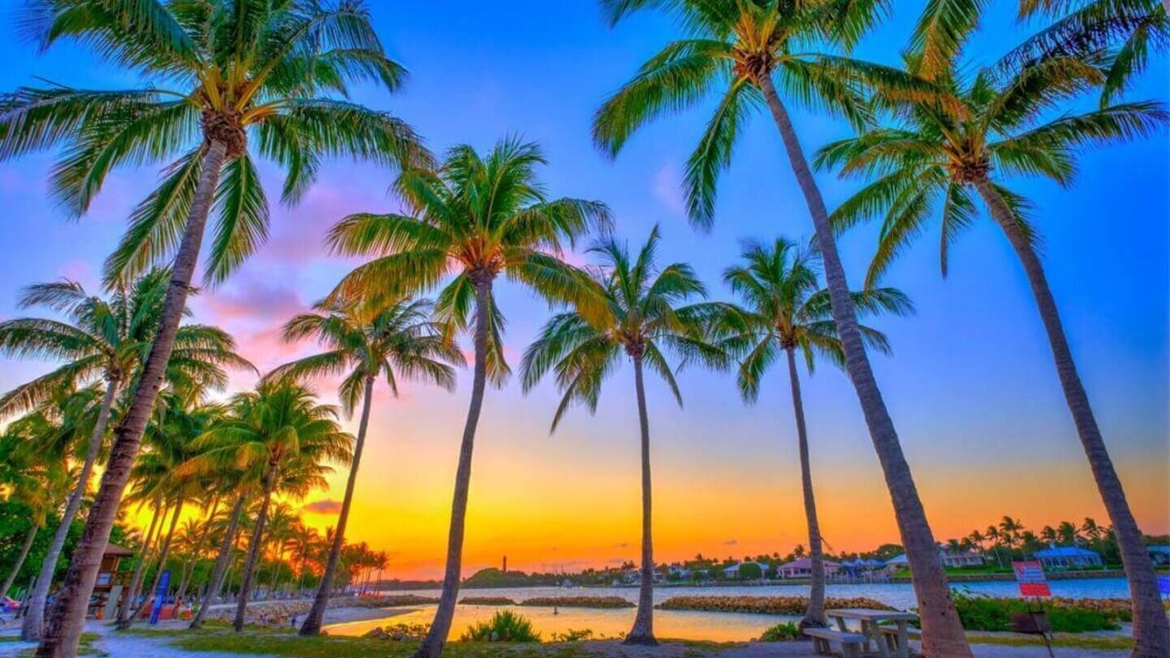Photo of Others in Tequesta