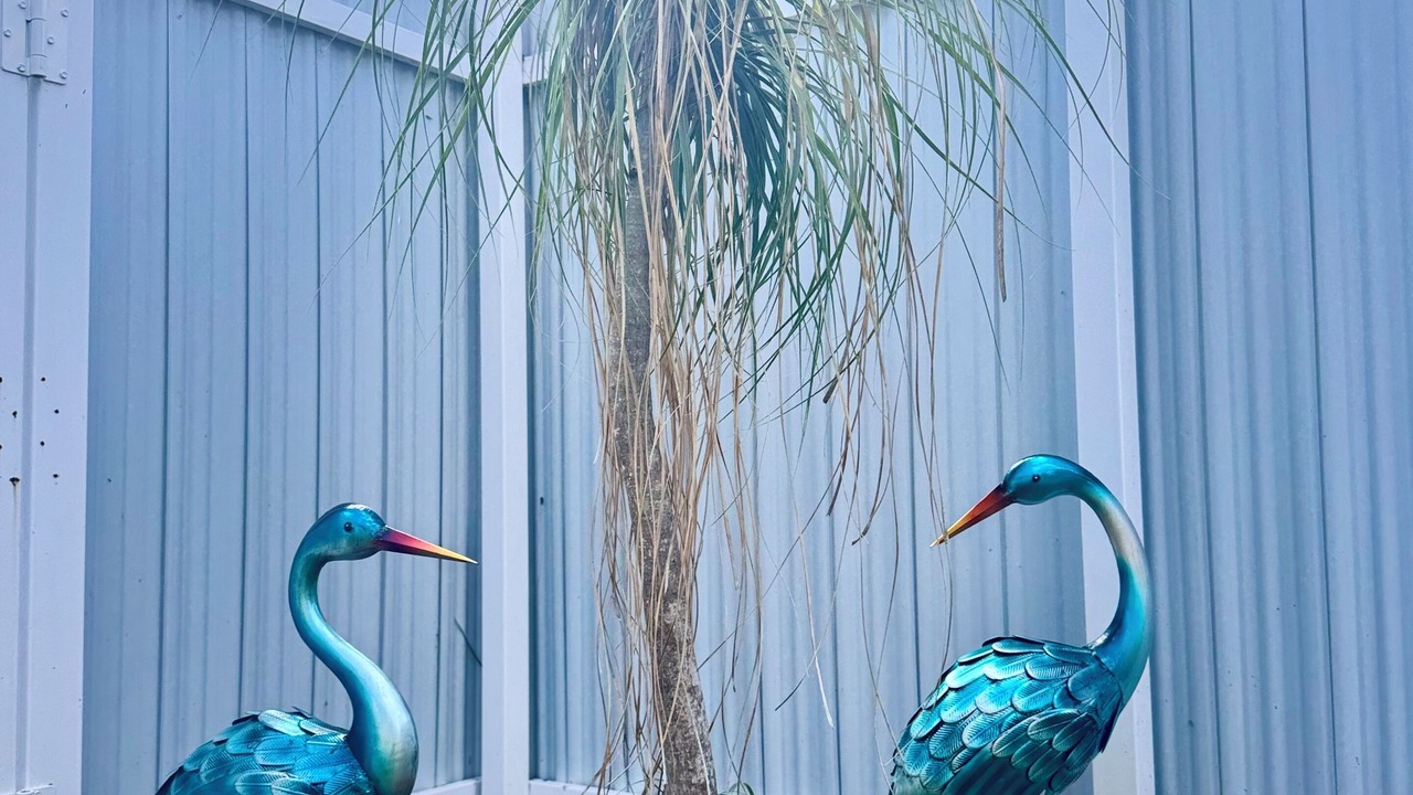 Photo of Outdoor in West Palm Beach