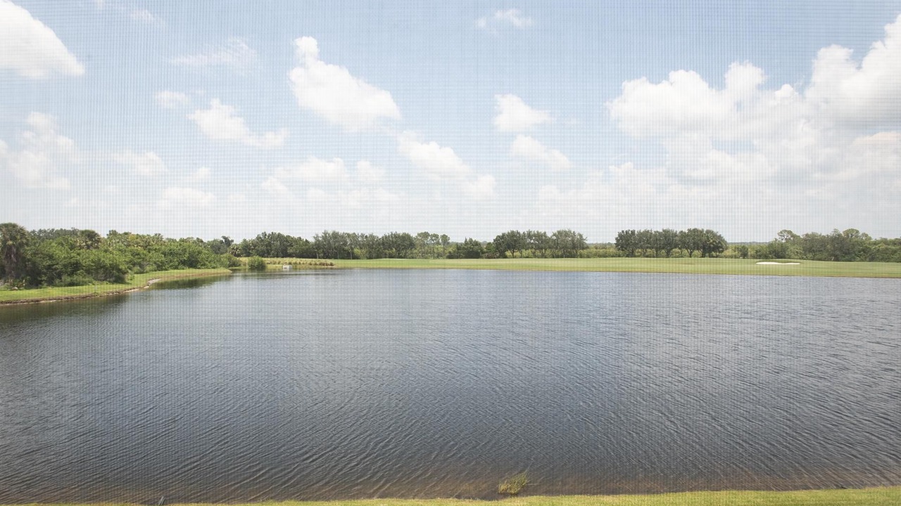 Photo of Others in Bradenton