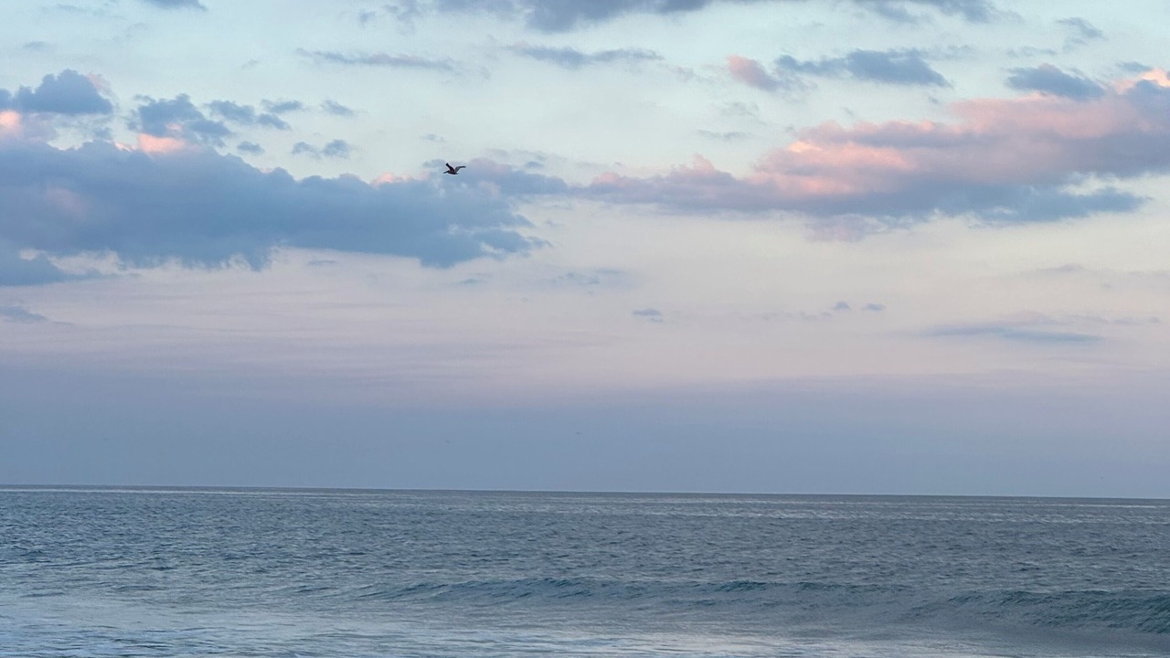 Photo of Others in North Ormond Beach