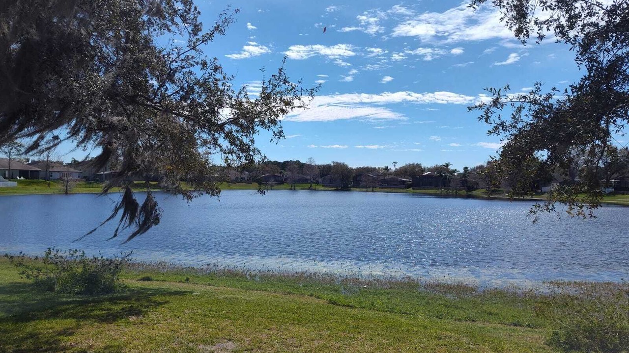 Photo of Others in Lake Mary