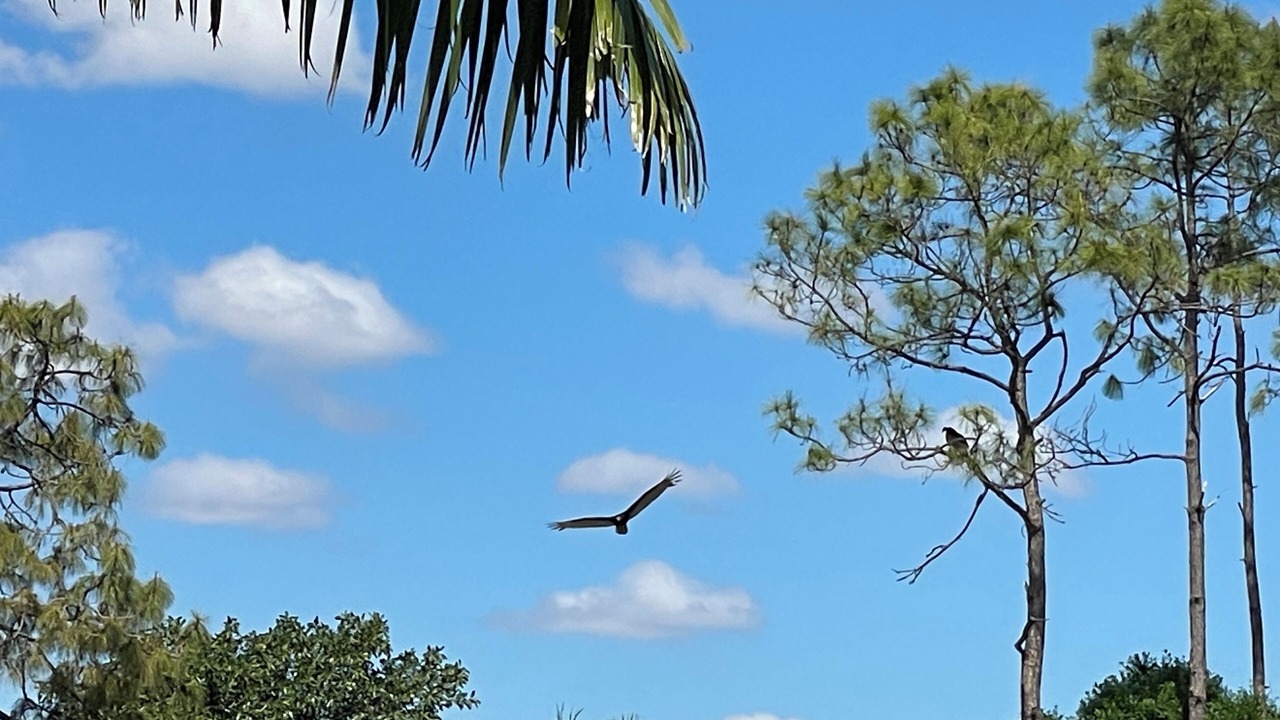 Photo of Others in Lely Golf Estates
