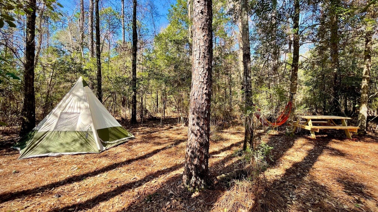 Photo of Others in Florida Panhandle