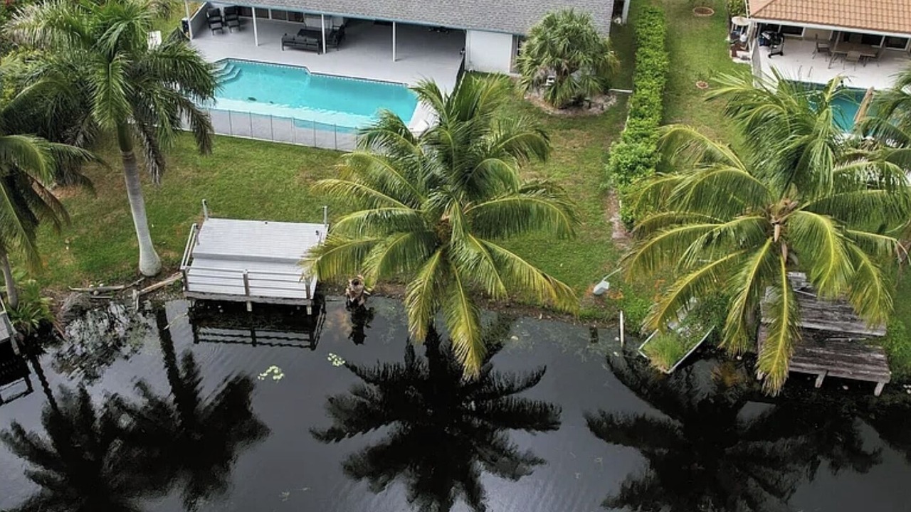 Photo of Outdoor in Greenview Shores