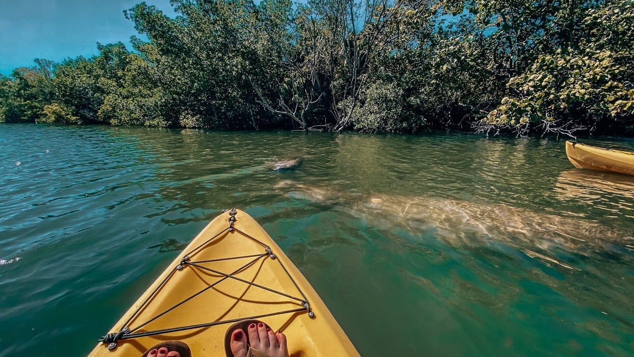 Photo of Others in Fort Myers Shores