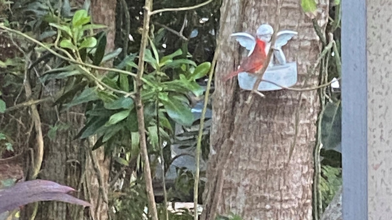 Photo of Outdoor in Fort Myers Shores