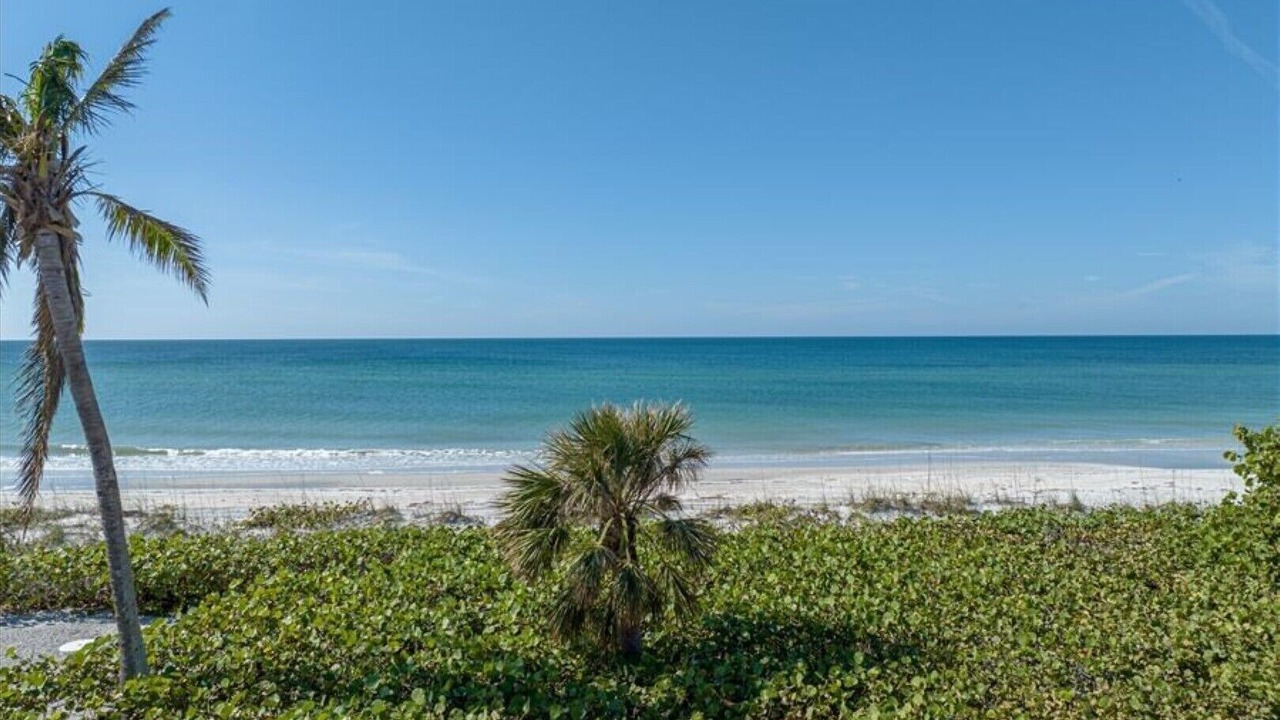 Photo of Others in Boca Grande