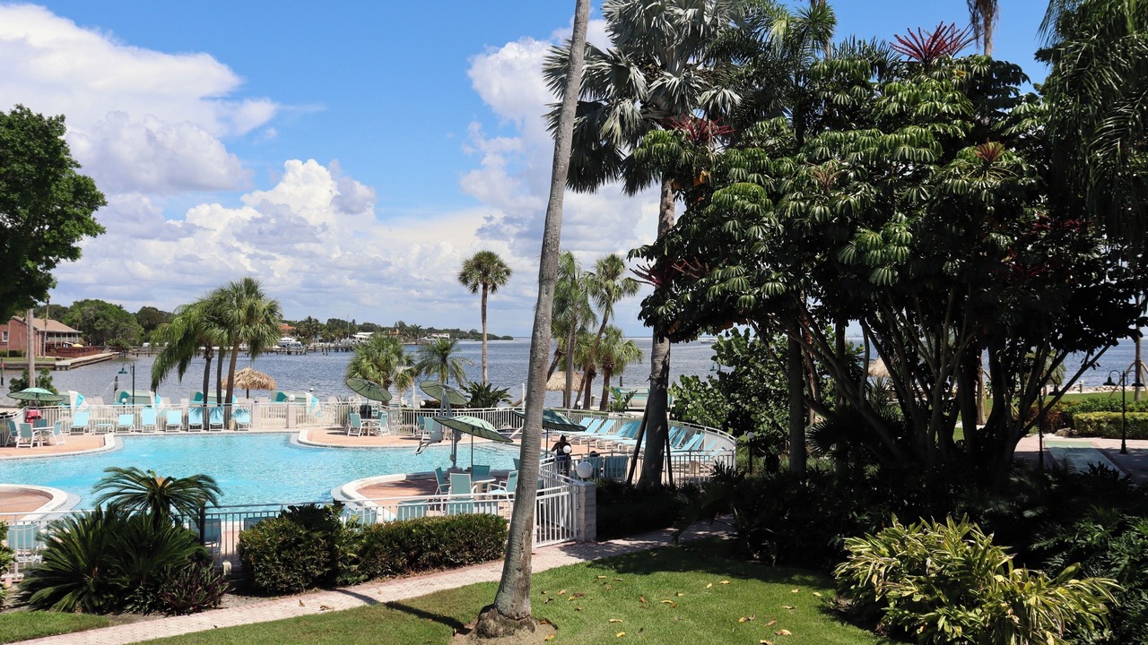 Photo of Outdoor in Pinellas Point