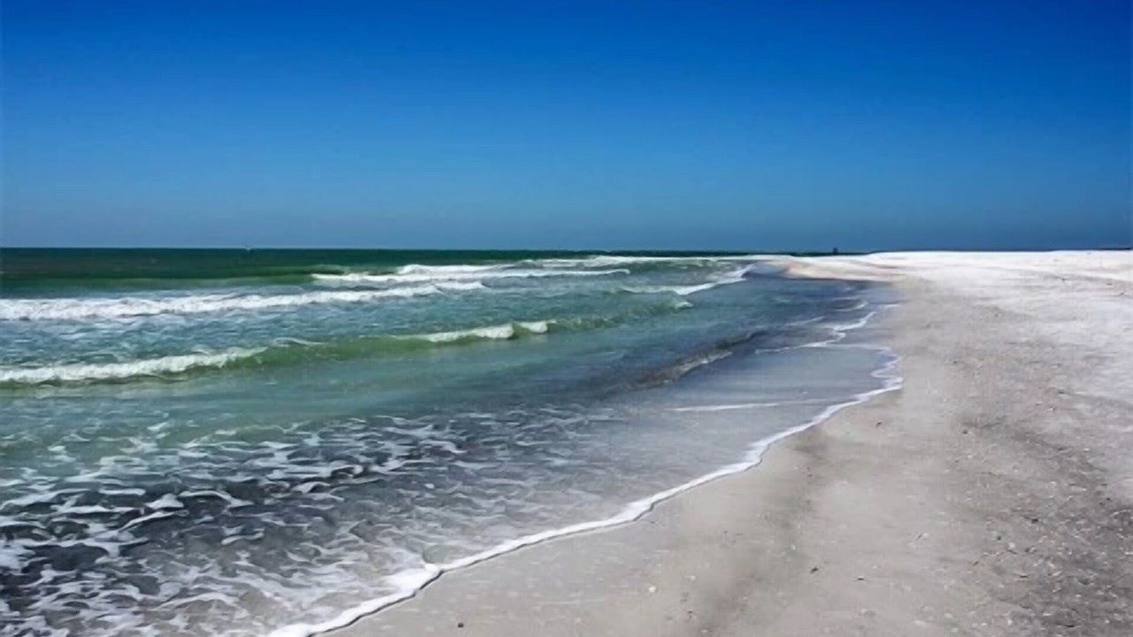 Photo of Others in Pinellas Point