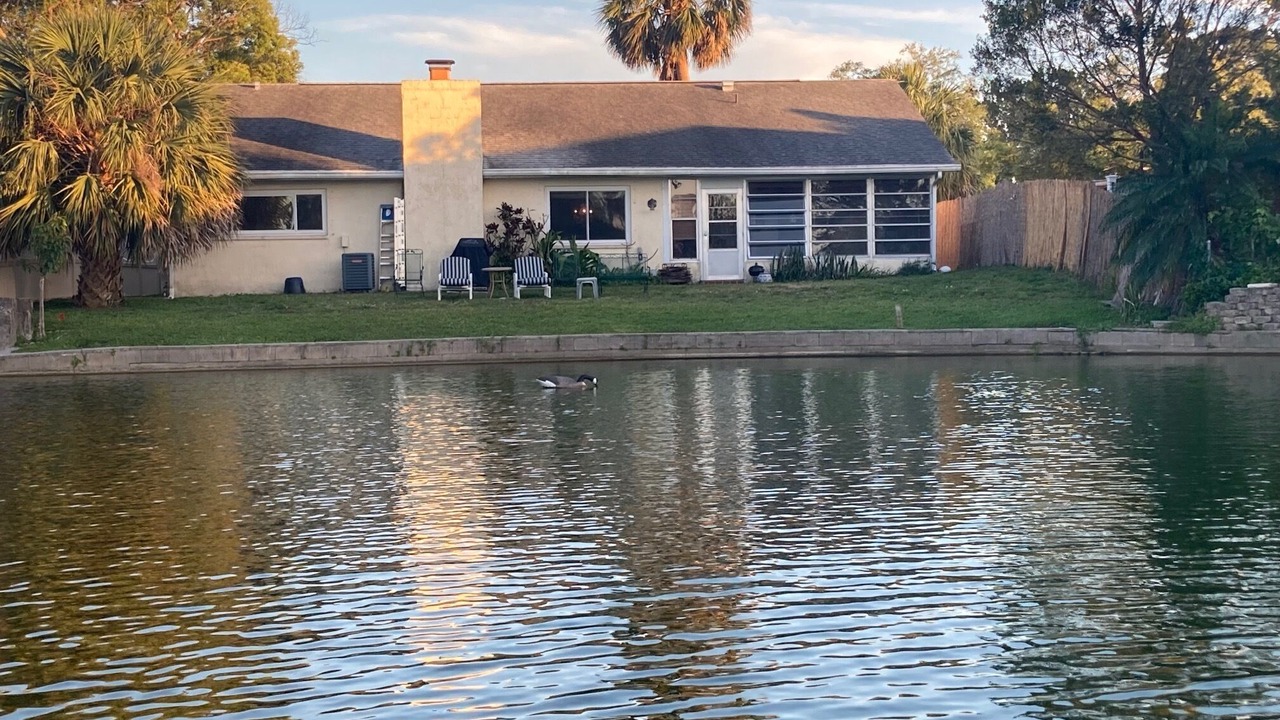 Photo of Outdoor in Port Richey