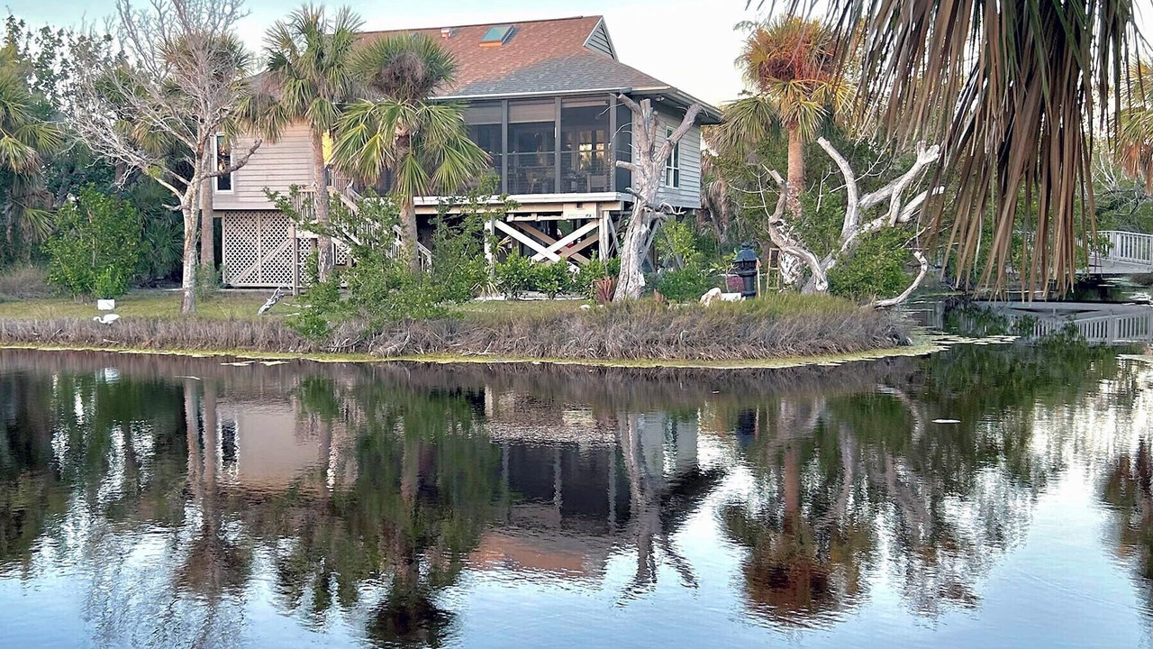 Photo of Outdoor in Gulf Pines