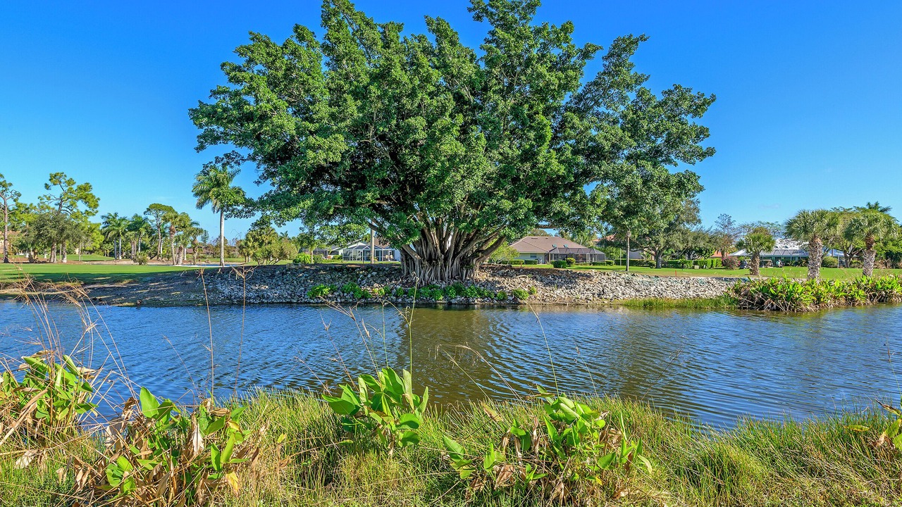Photo of Outdoor in Lely Golf Estates