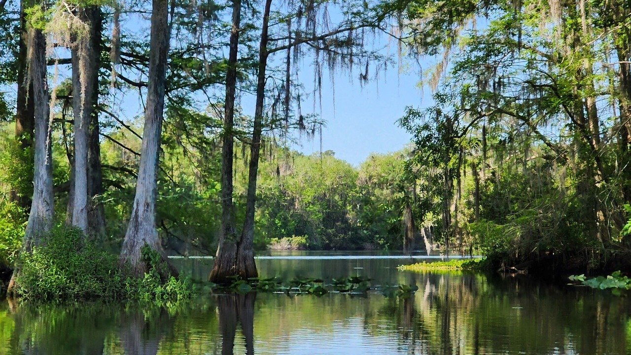 Photo of Others in Citrus Springs