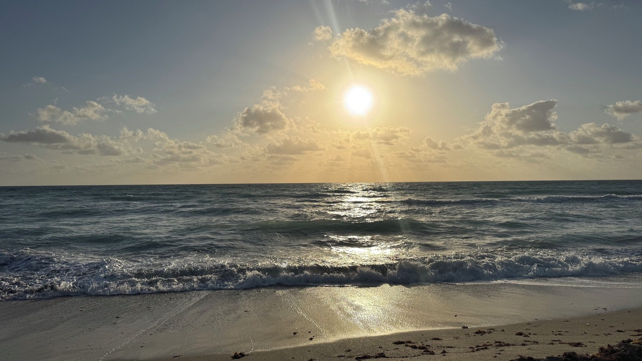 Photo of Others in Hobe Sound