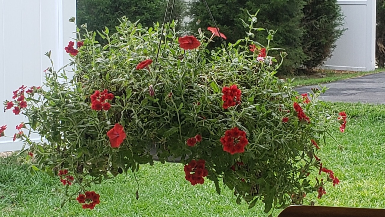 Photo of Outdoor in Brooksville