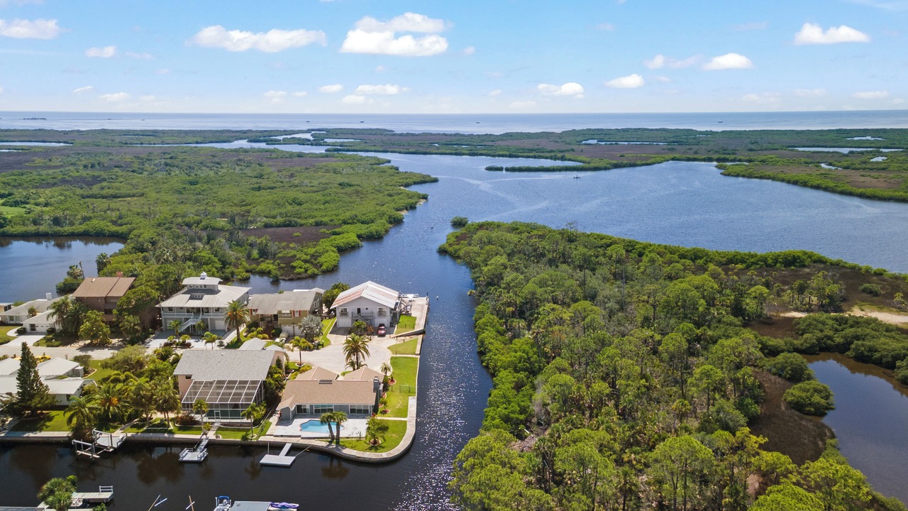 Photo of Outdoor in Port Richey