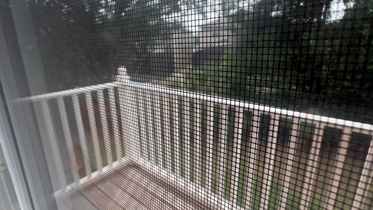 Photo of Outdoor in Crystal Cove