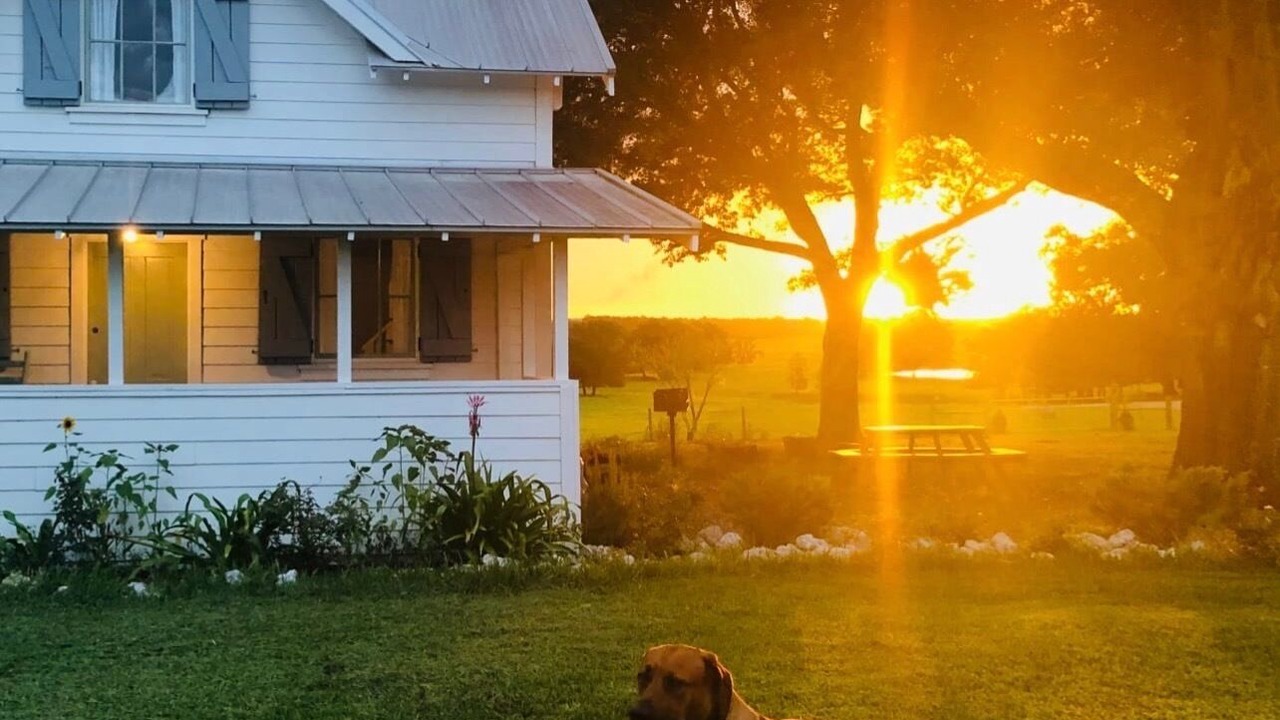 Photo of Outdoor in Dade City