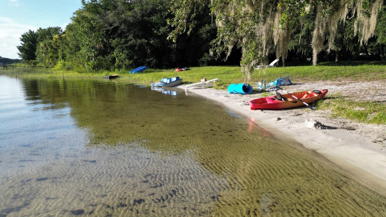 Photo of Others in Salt Springs