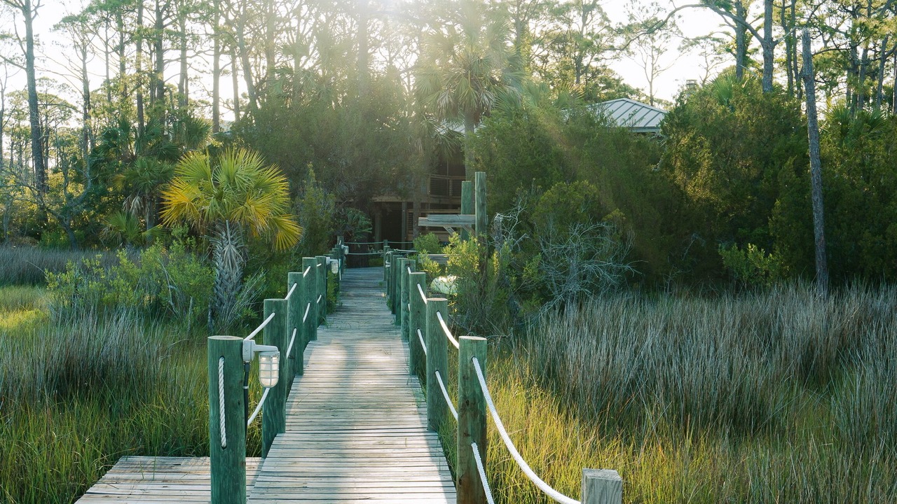 Photo of Outdoor in Plantation