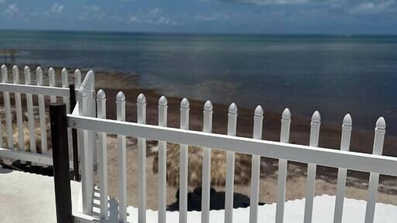 Photo of Outdoor in Long Beach Estates