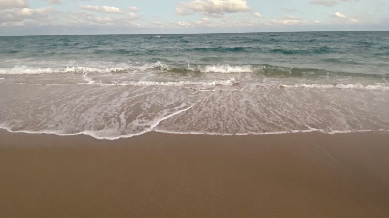 Photo of Others in Boca Raton