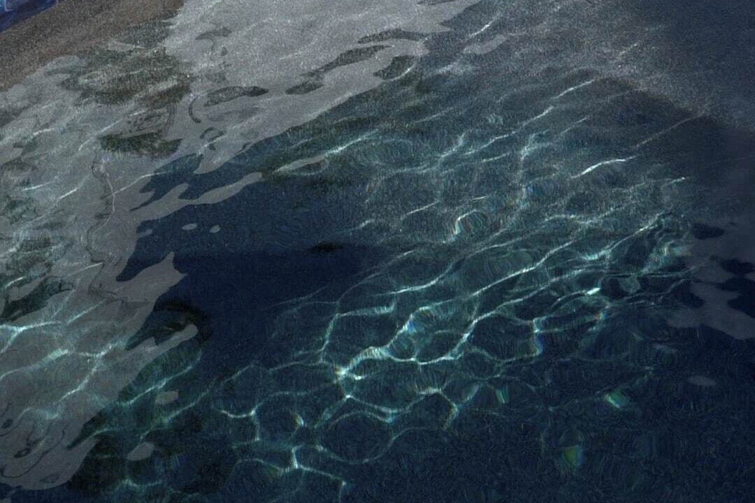 Photo of Outdoor in Flamingo Parks