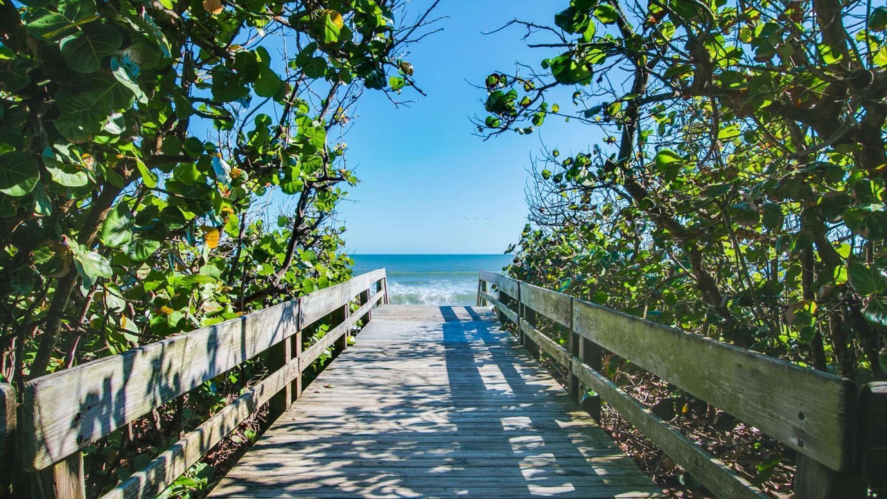 Photo of Others in Ocean Side Village
