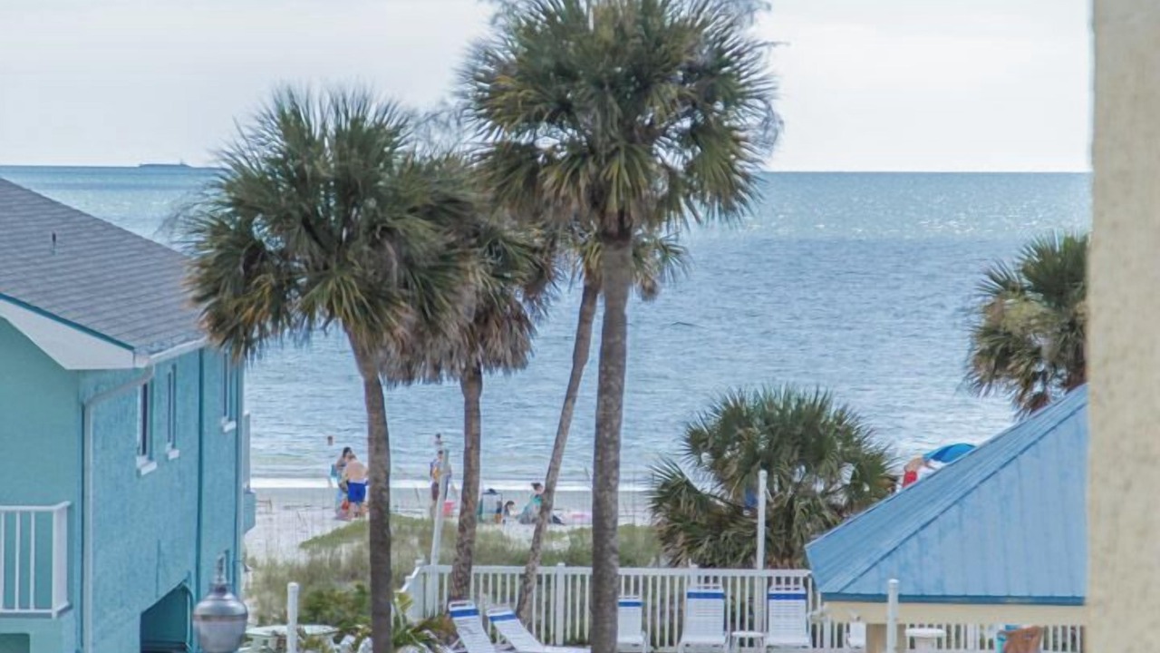 Photo of Others in St. Petersburg - Clearwater