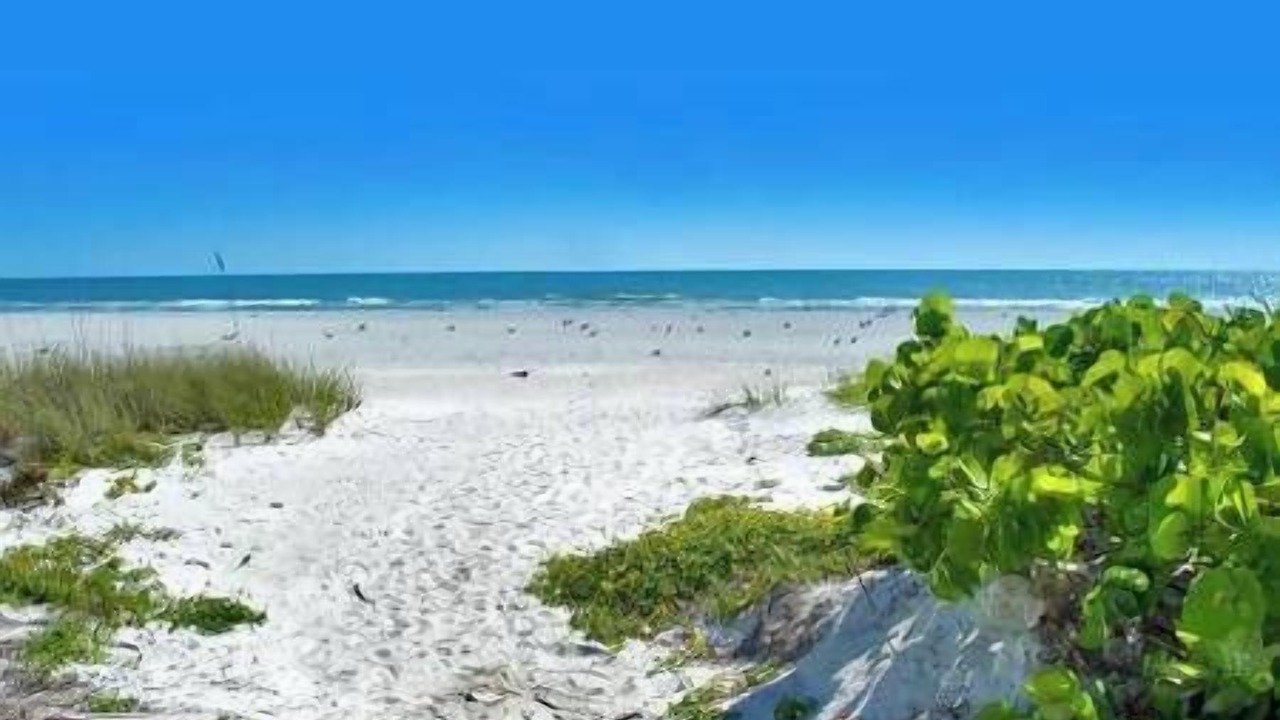 Photo of Others in St. Petersburg - Clearwater