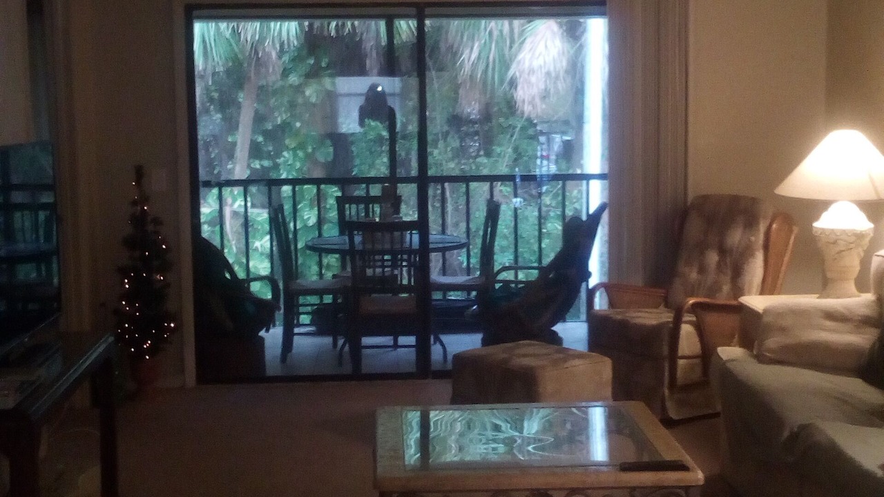 Photo of Livingroom in Pinellas Point