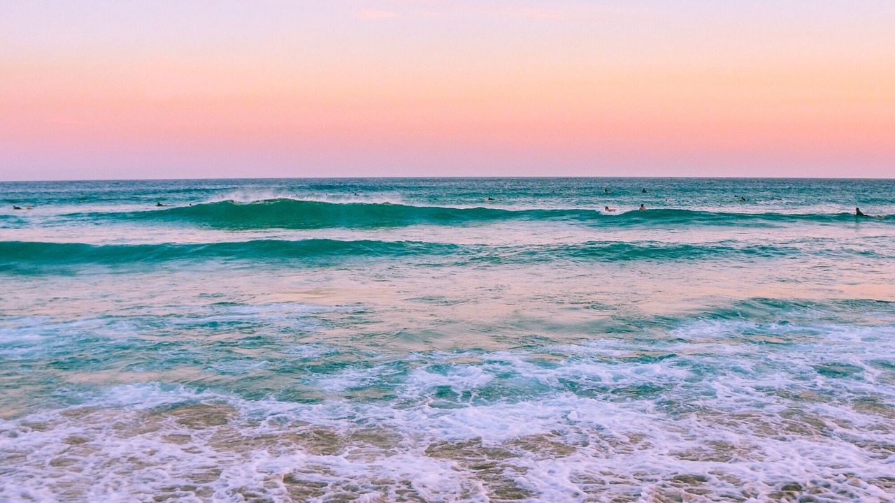 Photo of Others in Hutchinson Island South