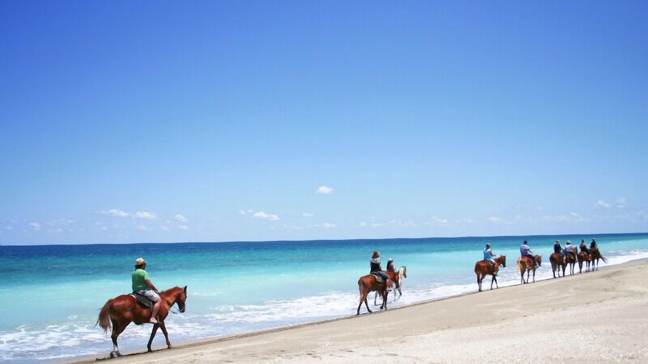 Photo of Others in Hutchinson Island South