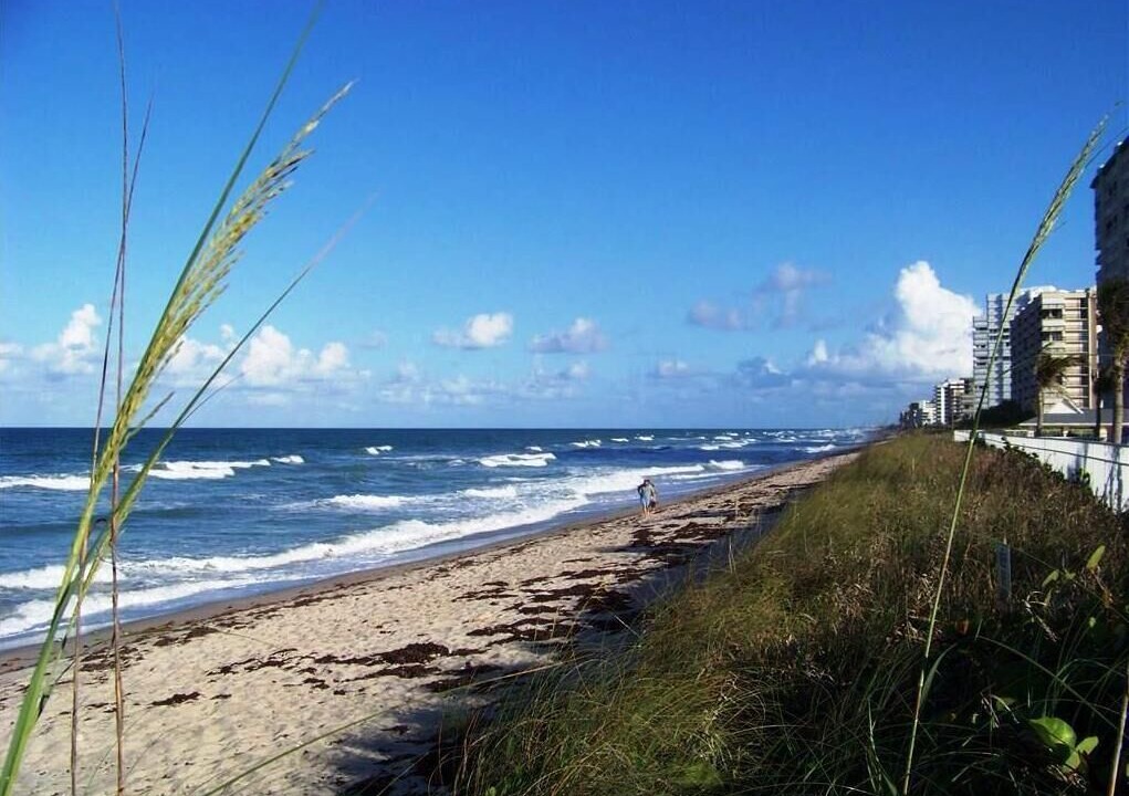 Photo of Others in Hutchinson Island South