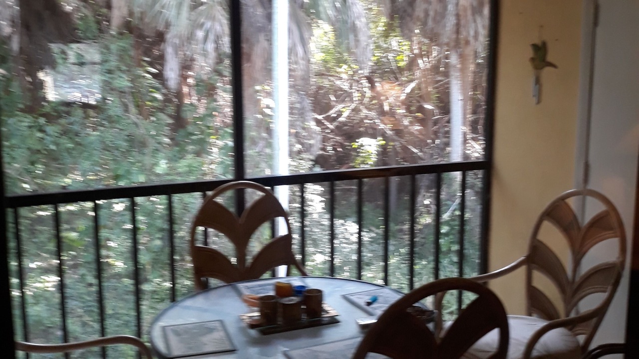 Photo of Others in Pinellas Point