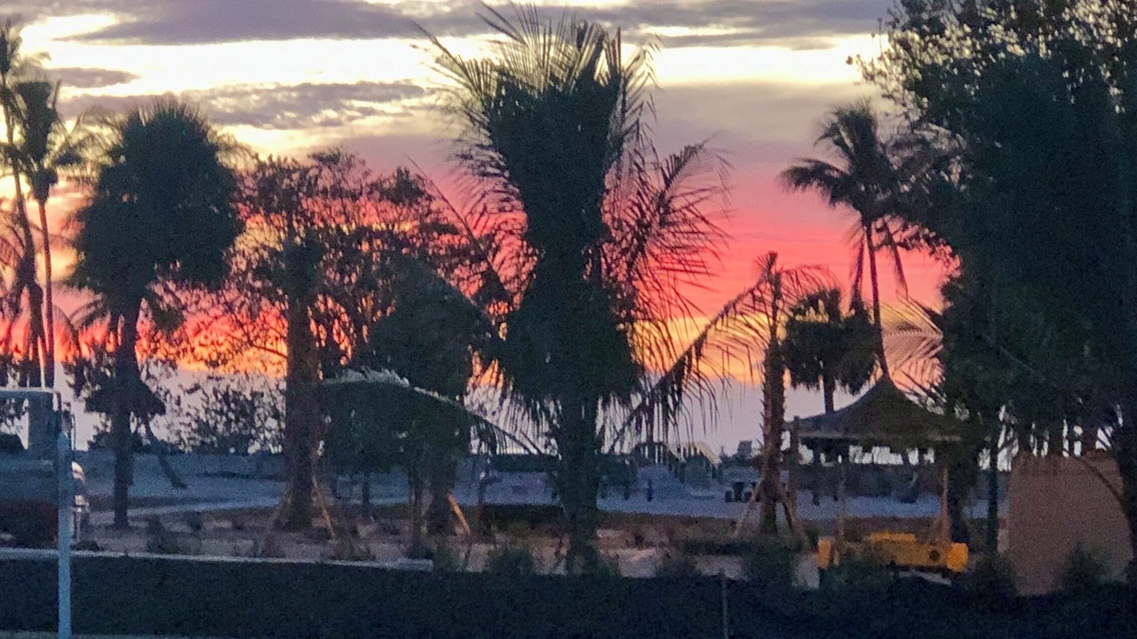 Photo of Others in Coquina Sands