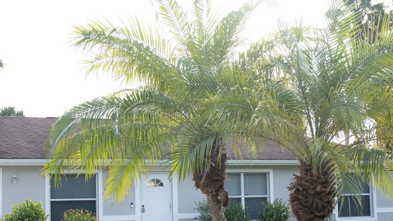 Photo of Outdoor in Fort Myers