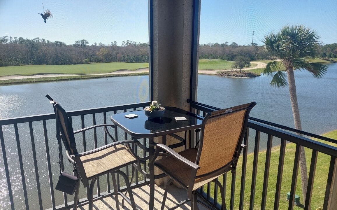 Photo of Outdoor in Lakewood Ranch