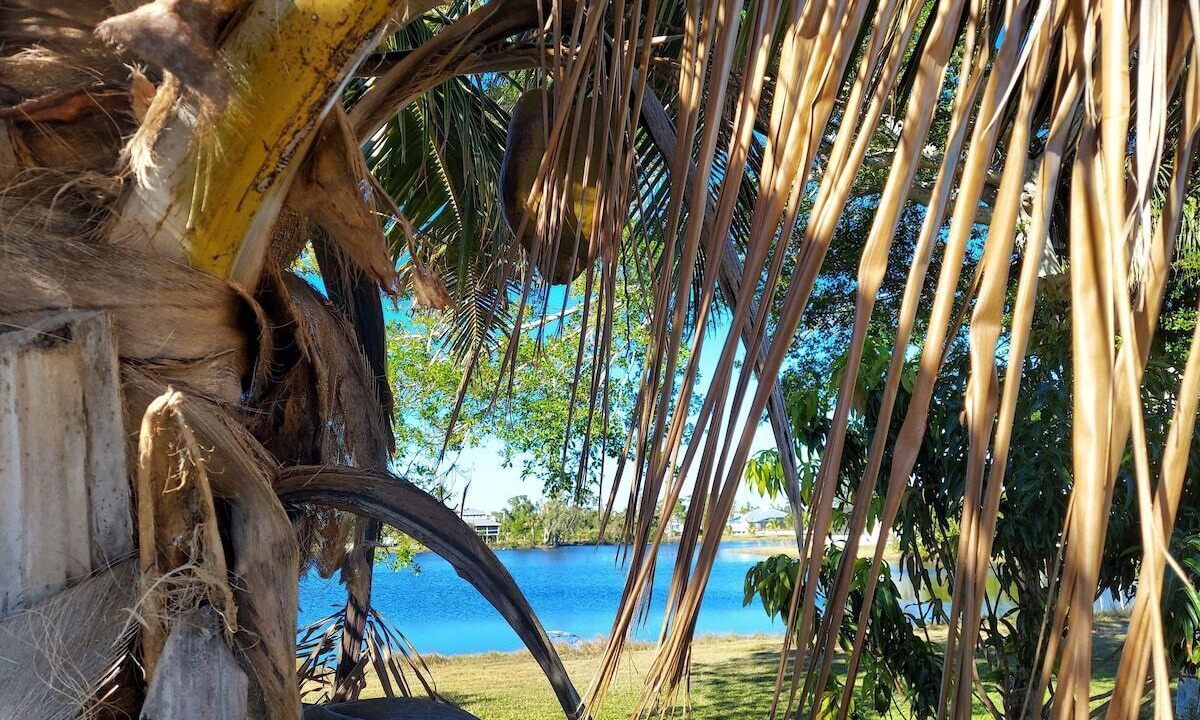 Photo of Others in Pine Island Center