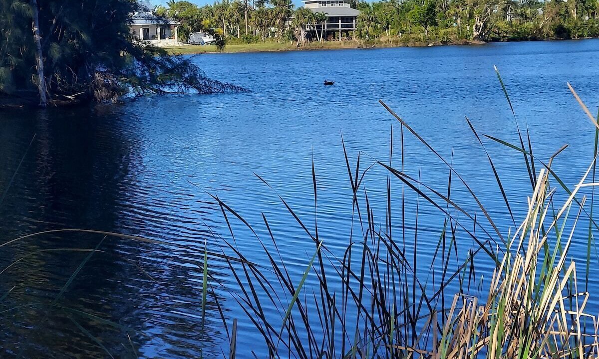 Photo of Others in Pine Island Center