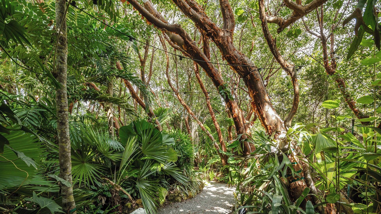 Photo of Outdoor in Little Torch Key